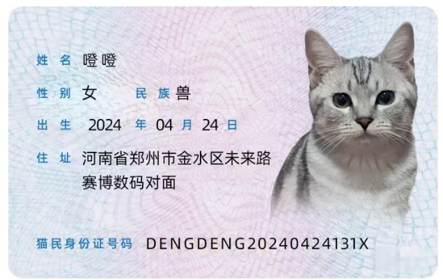 免费领10W份哇哈哈 到门店自提即可_www.iqnew.com