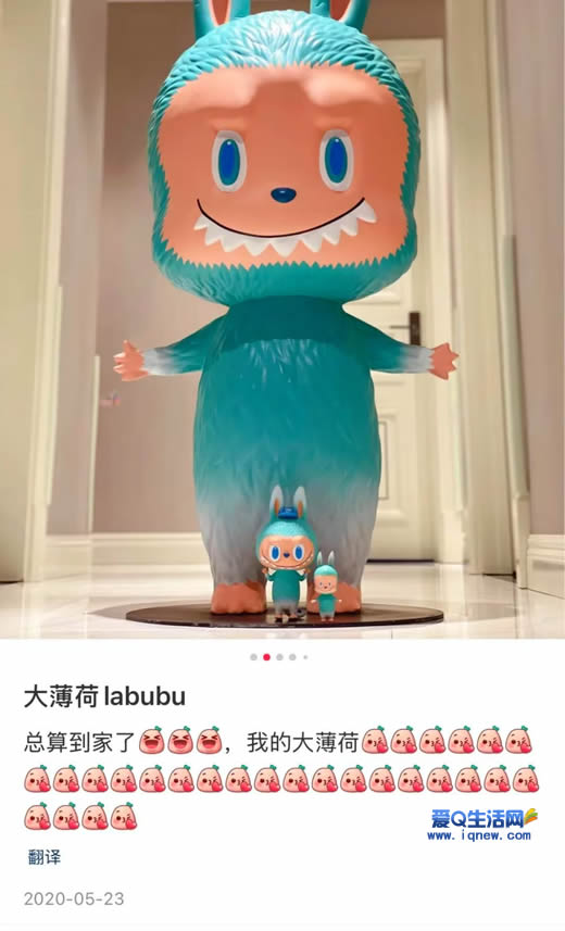 labubuֵ Ǯ˿񻶣www.iqnew.com