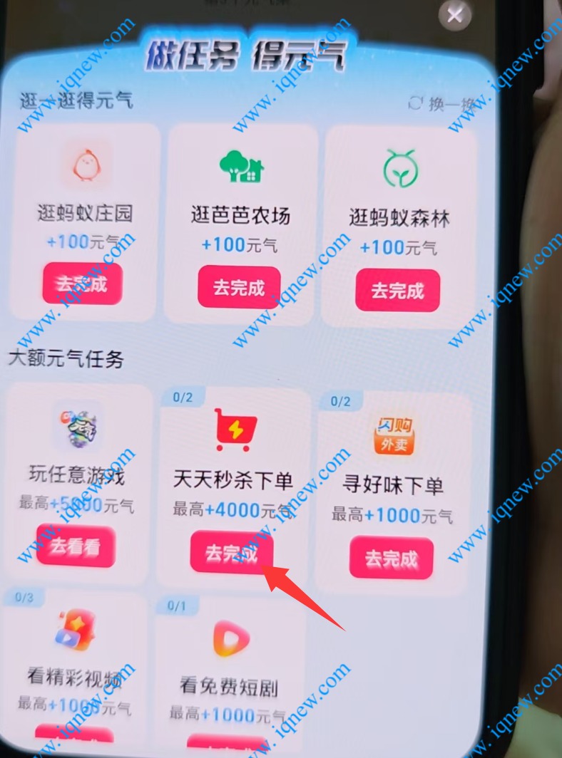 ֧սڳ齱 96.8Ԫ뵽_www.iqnew.com