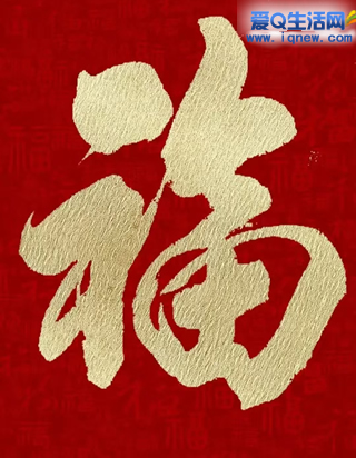 ֧�������帣���218Ԫ �����20��������-www.iqnew.com