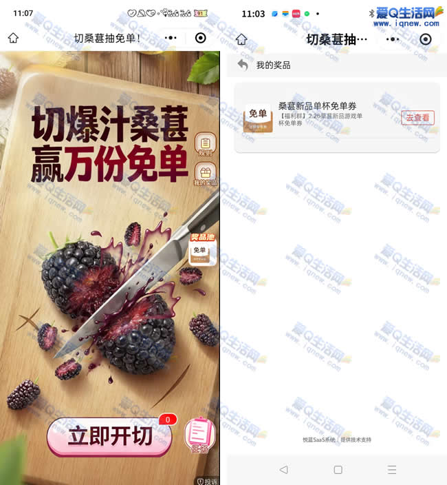 ��������ˮ����Ϸ���ⵥ �ײ�ɣ����Ʒ�ⵥȯ_www.iqnew.com