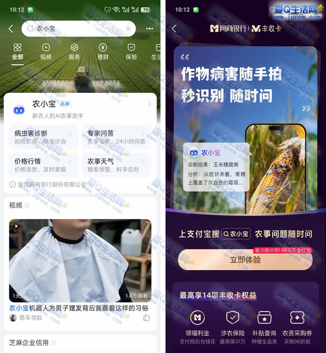 ֧����ũС�� �״�������1.88Ԫ�ֽ���_www.iqnew.com