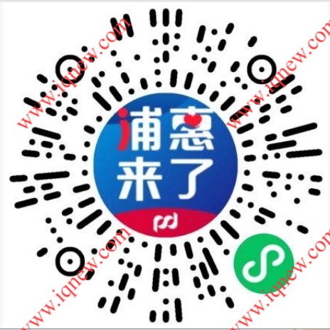 ��ά��_www.iqnew.com